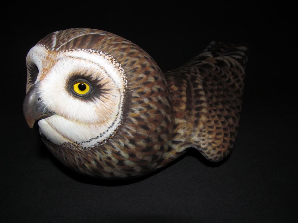 2012 - Short-eared Owl Palm Frond Sculpture by Laurie J. McNei