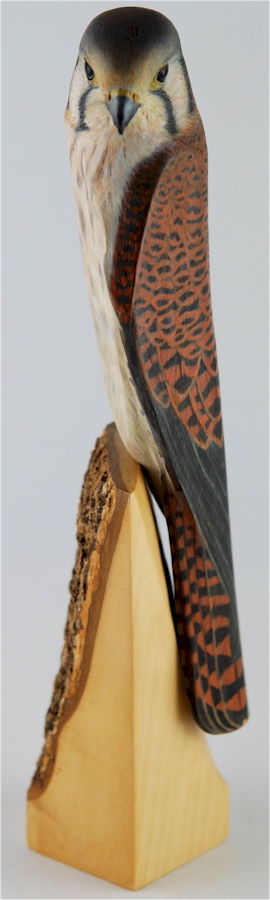 2004 - Female Kestrel Palm Frond Sculpture by Laurie J. McNeil