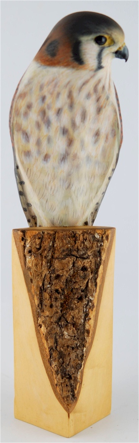 2004 - Female Kestrel Palm Frond Sculpture by Laurie J. McNeil