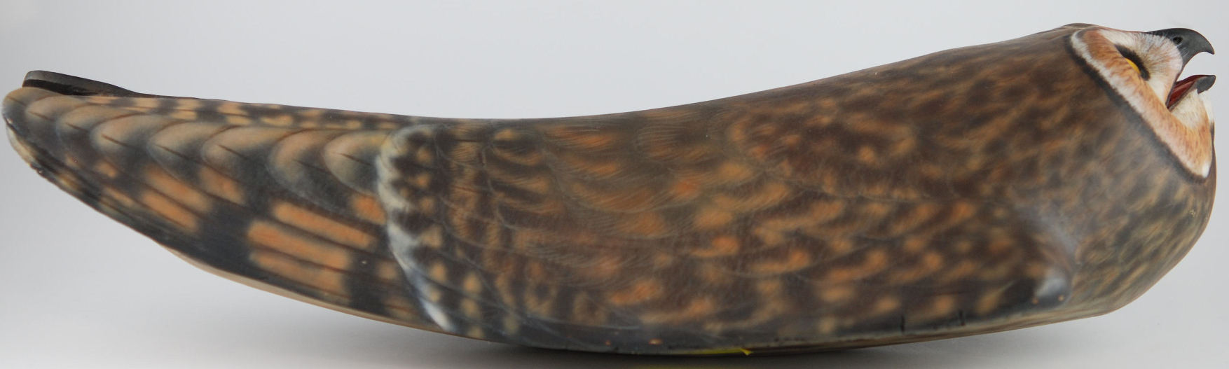 1999 Short-eared Owl Palm Frond Sculpture by Laurie J. McNeil