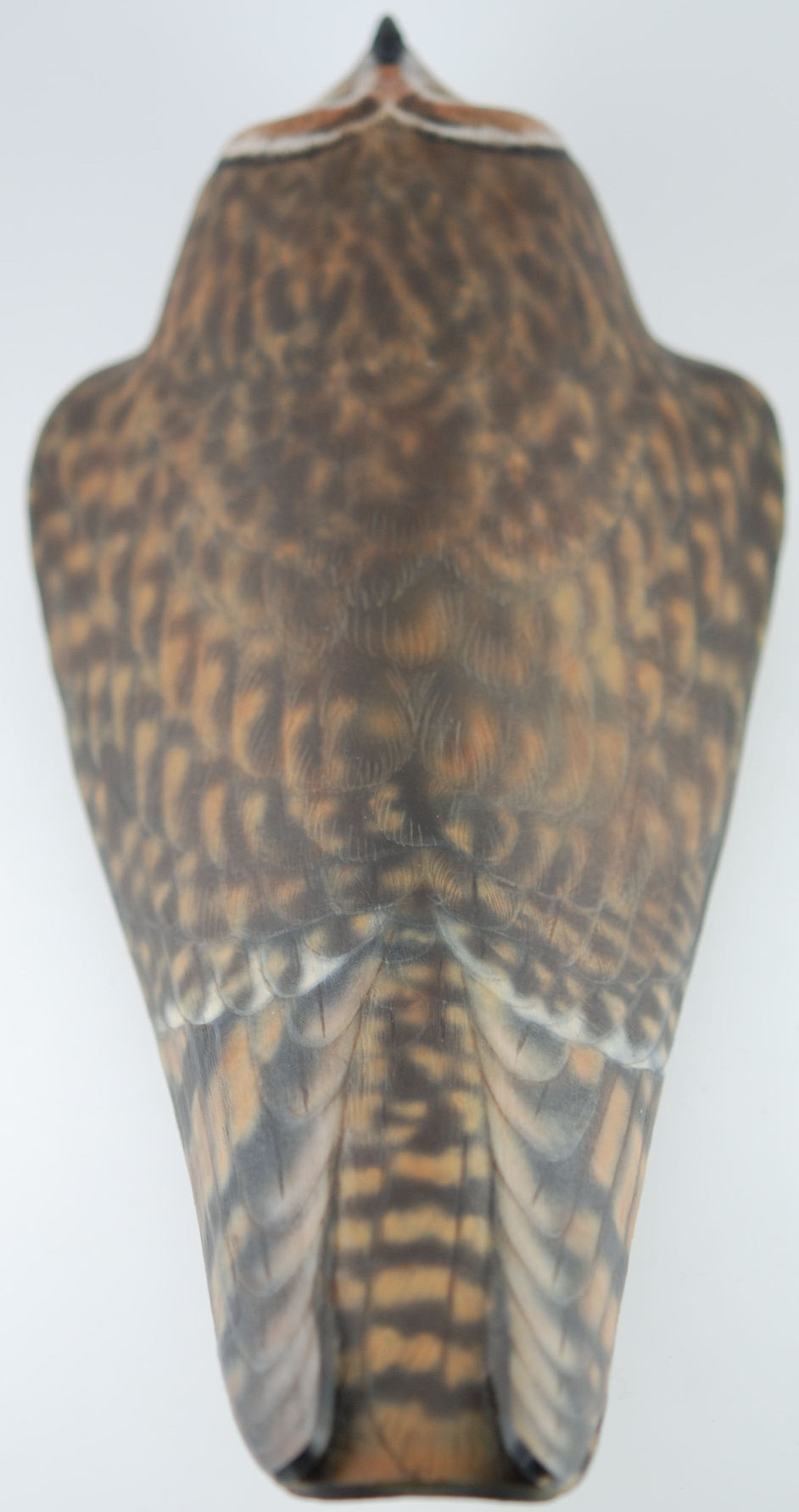 1999 Short-eared Owl Palm Frond Sculpture by Laurie J. McNeil