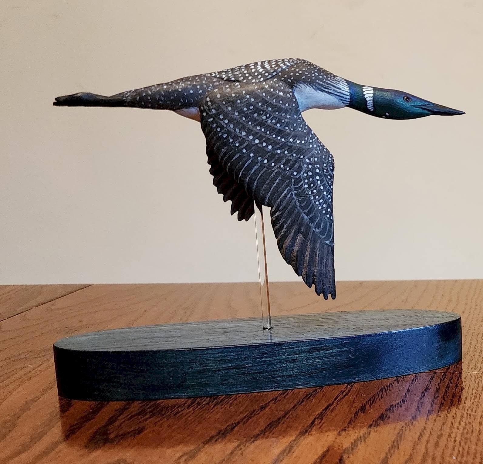 Common Loon in Flight - National Loon Center